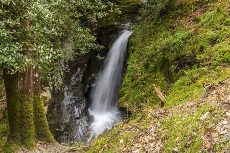Poulanass Waterfall in Wicklow Mountains National Park, Ireland.の写真素材