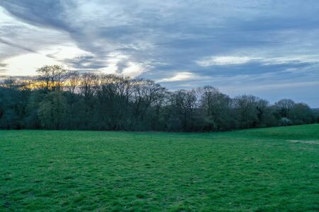 English countryside landscape with trees, fields, blue skyの写真素材