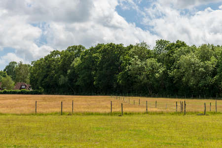 English countryside view of Sevenoaks, Kent, UKの写真素材