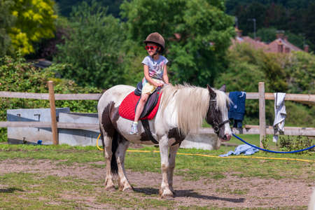 Horseback riding, lovely equestrian - young girl is riding a horseの写真素材