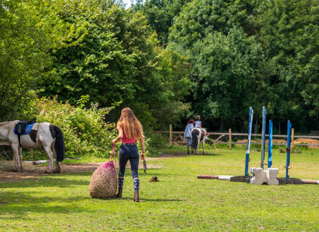 Female horse farm worker is going to feed horse with hay and grainの写真素材
