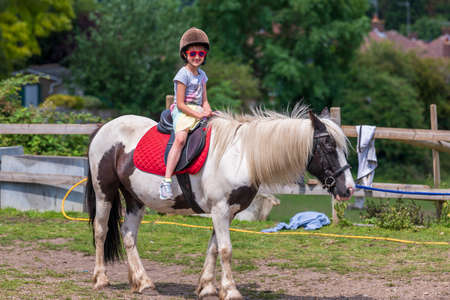 Horseback riding, lovely equestrian - young girl is riding a horseの写真素材