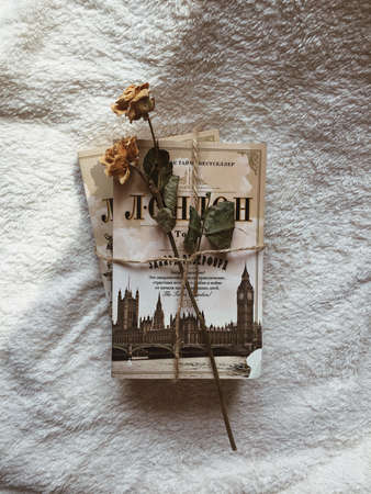 composition of a book and pink roseの写真素材