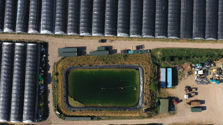 Top Down Aerial View of Green and Yellow Wheat Field Farm and Greenhouses. Golden Crops During Pasture Aerial View. Agricultural Work in Summer During Drought. Grain Crisis. Nature, Harvesting, Ecoの写真素材