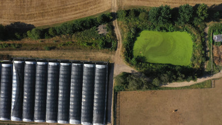Top Down Aerial View of Green and Yellow Wheat Field Farm and Greenhouses. Golden Crops During Pasture Aerial View. Agricultural Work in Summer During Drought. Grain Crisis. Nature, Harvesting, Ecoの写真素材