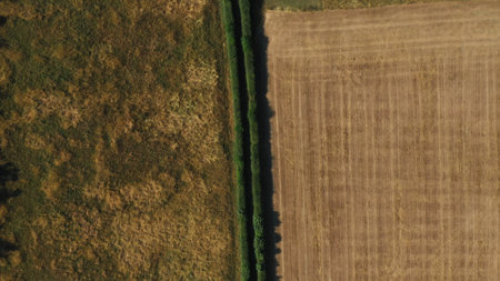 Top Down Aerial View of Green and Yellow Wheat Field Farm and Greenhouses. Golden Crops During Pasture Aerial View. Agricultural Work in Summer During Drought. Grain Crisis. Nature, Harvesting, Ecoの写真素材