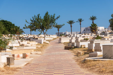 A beautiful Tunisian cemetery landscape, featuring white tombstones surrounded by palm treesの写真素材