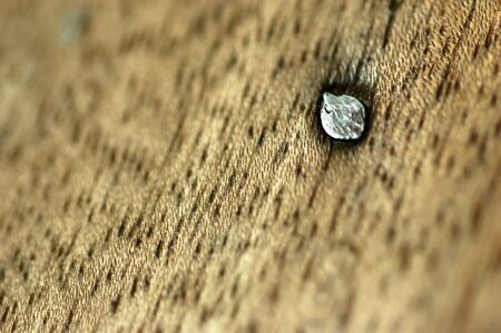 The nail that stabbing into the wood 
