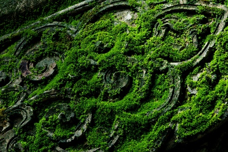 A part of Naga sculpture in the temple that cover by moss