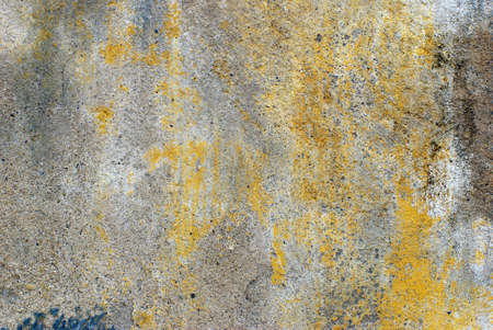 The old wall that pass many event for long time の写真素材