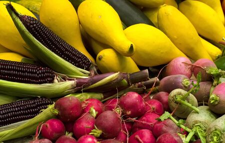 corn, red radish, and crookneck squash after harvestingの写真素材