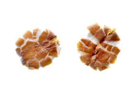 Isolate rye flakes, a top view close up photo image of rye flakes