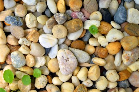 Round stone/grave, a close up photo of colorful round stone/gravel that use to decorate on the...