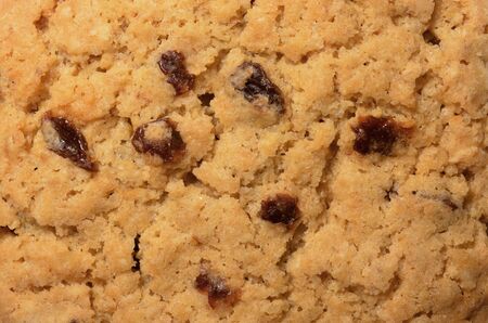 Texture and pattern on raisin cookie/biscuit surface, a top view close up photo image on cookie/biscuit surface present a detail of texture and pattern on biscuit/cookie surfaceの写真素材