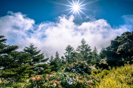 mountain, blue sky and white clouds sceneryの写真素材