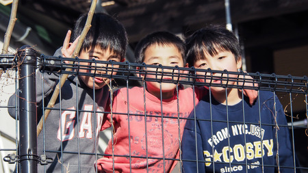 Takayama, Japan - 12 MARCH 2016 : Portrait of unidentified young Japanese boys stand behind the fence in Takayama village.のeditorial素材