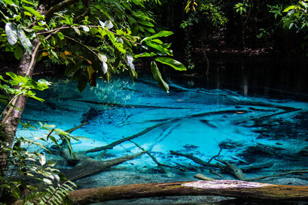 Emerald blue pool at Krabi Thailandの写真素材