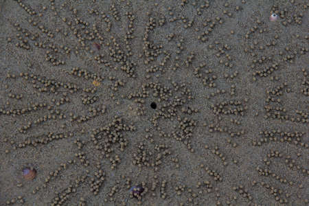 Sand beach backgroundの写真素材