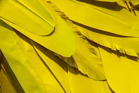 Yellow feather paper backgroundの写真素材