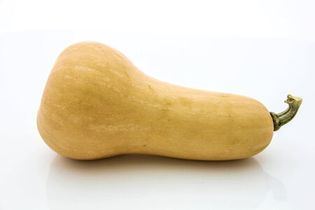 Butternut squash on white backgroundの写真素材