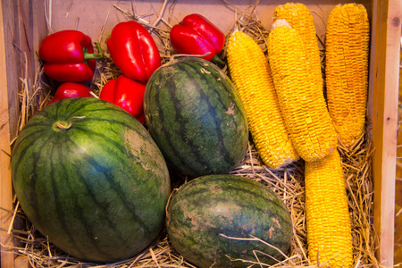 Watermelon, corn, red sweet pepperの写真素材