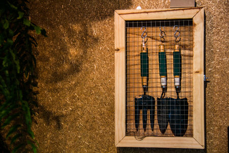 shovel, hand tool for grow plantの写真素材