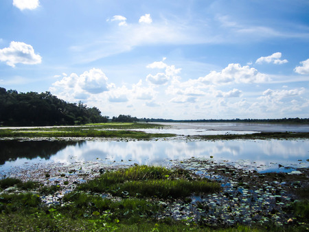 Beautiful rural landscape with flood watersの写真素材