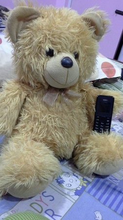 Cute golden fur teddy bear holding a cell phoneの素材