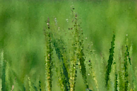 Crystallize Green Background. Abstract background.の写真素材