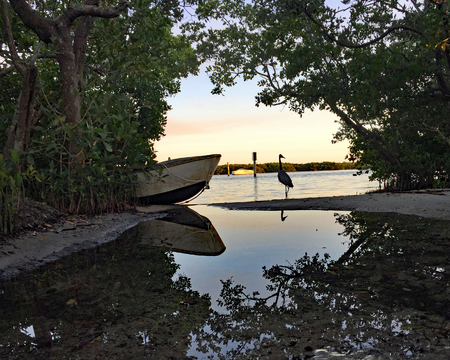 a Beautiful Scenery of Wooden rowing Boat with bird walking towardsの写真素材