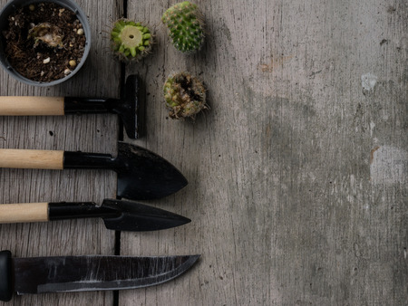 Gardening tools and cutting cactus on wooden background with copy space for text.の写真素材