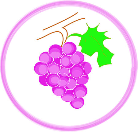 fruits grapes color purple sweetのイラスト素材