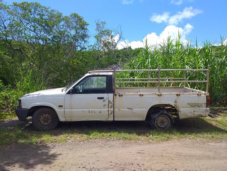 Rusty pick up abandoned in sugar cane crop field. Caribbeanの写真素材