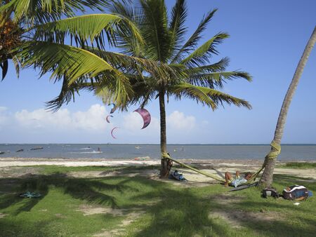 Rest in hammock among Caribbean palm trees. Kitesurf in turquoise waters of the Caribbean. Tropical chilling outの写真素材