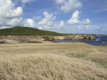 Caribbean landscape with vegetation, volcanic cliff and waves breaking over volcanic rocks.Savanna of Petrification. Martinique, French West Indies.の写真素材