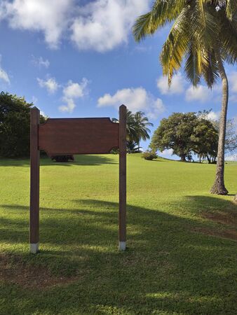 Tropical garden with grass and palm trees. Empty wooden sign and caribbean blue sky.の写真素材
