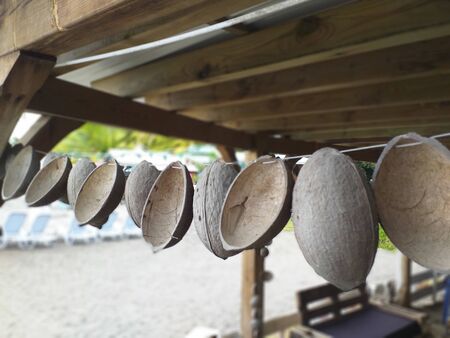Close-up of row of split coconuts in rustic decoration