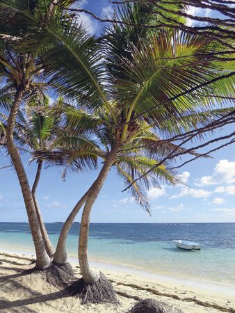 Paradise beach with turquoise blue Caribbean sea and palm trees. Sand beach In Tropical landscape.の写真素材