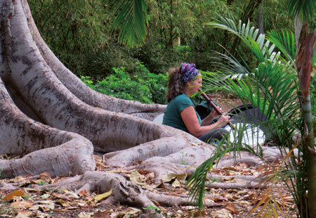 Tenerife, May, 2020: Woman sitting playing the flute in nature. Centennial tree and exuberant...