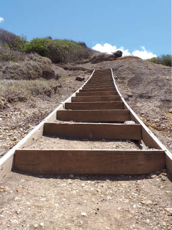 A stairway composed of a series of parallel cor-ten risers set into the earth. Rustic wood staircase...