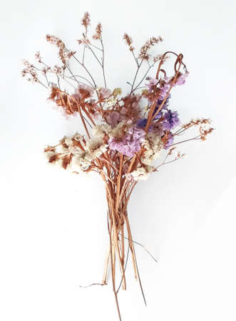 Front view of bouquet of dried natural flowers isolated on white background. Delicate bouquet of wild flowers, close up.の写真素材