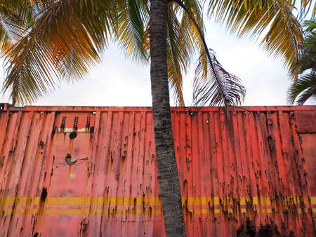 Old rusty and abandoned container with tropical palm tree. Metallic texture of an industrial...