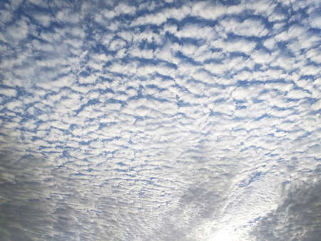 Sky background with cirrocumulus. Texture of white clouds, rounded like cotton flakes. Stormy skies...