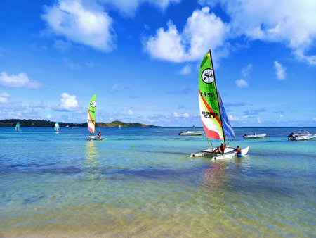 Martinique, August 2021: Small sailing boat to learn to sail under Caribbean blue skies and turquoise waters of the Caribbean Sea of the French West Indies. School of navigation. Nautical sports.のeditorial素材