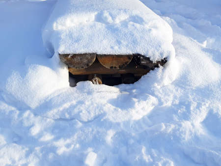 Snow covered firewood detail. Great snowfall in the polar circle. Nature of the Nordic countries.の写真素材