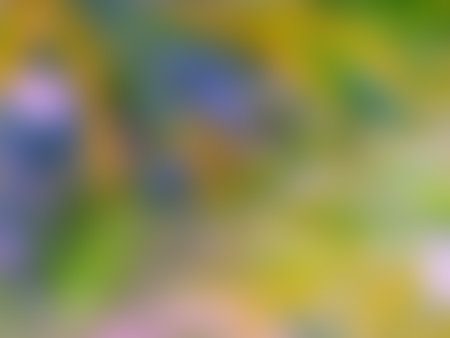 Defocused abstract background. Soft light greenish colors. Natural blur effect. Full frame of bright bokeh style tones. Ideal for designs and artistic creations.の写真素材