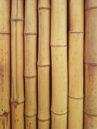 Background of round bamboo trunks. Detail of bamboo reeds. Dry yellow bamboo fence texture horizontal background.の写真素材