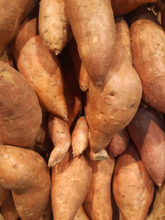 Natural sweet potatoes background. Full frame of fresh bulk sweet roots. Healthy and energetic eating. Raw yams in pile.の写真素材