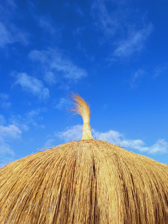 Close up of straw parasol under blue sky. Raffia parasol close up. Heather and wicker texture. Part of the textured hut roof from straw or a reed closeup against an empty and clear skyの写真素材
