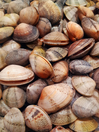 A background of fresh CLAMS. Full frame of mollusks and shellfish on ice at the market. Food and marine life.の写真素材